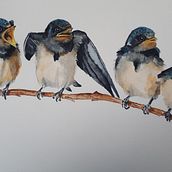 hungry little swallow family. Watercolor Painting project by Anouk Jacobs - 01.23.2021