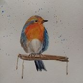 My project in Artistic Watercolor Techniques for Illustrating Birds course . % charlene_kane7 tarafından hazırlanan Sulubo, Ve a Resim projesi - 01.24.2021