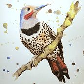 My project in Artistic Watercolor Techniques for Illustrating Birds course. Watercolor Painting project by Anjelica Brunn - 02.16.2021