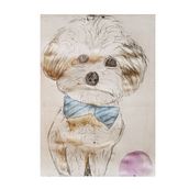 Boceto Ares. Sketching, Drawing, Pencil Drawing, Artistic Drawing, and Watercolor Painting project by Andrés Mendoza Rojas - 04.27.2020