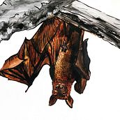 Upside down.. Artistic Drawing, Children's Illustration, Creativit, and Watercolor Painting project by Anette Krištofová - 01.25.2021