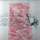 Fluir. Een project van 2D-animatie,  Artistieke tekening y Stop-motion van Ana Barroso Calle - 01.08.2018