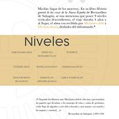 Mi Proyecto del curso: Ortotipografía para diseñadores. Projekt z dziedziny Grafika ed, torska, Projektowanie t, pografii, T i pografia użytkownika Cesar Morales - 29.01.2021