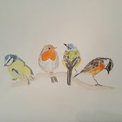 My project in Artistic Watercolor Techniques for Illustrating Birds course. Watercolor Painting project by Vicky Forsyth - 01.27.2021