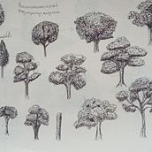 Mi Proyecto: Curso dibujo para principiantes. Projekt z dziedziny R, sunek ołówkiem,  R, sunek art, st i czn użytkownika Katalina Moskowictz - 26.01.2021