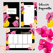 Mi Proyecto del curso: Colección Buganvilla. Drawing, Traditional illustration, Botanical Illustration, and Watercolor Painting project by Alexandra Vera Coronel - 01.27.2021