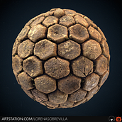 My project: Calzada Gigantes Texture. 3D, 3D Modeling, and Video Games project by Loren Sobreville - 03.01.2021