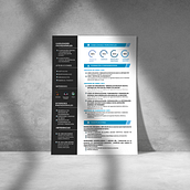 Diseño de Curriculum vitae. Creativit project by Lucía del Carmen Chavez Vasquez - 01.27.2021
