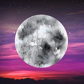 The Moon, from 12 Moons Tarot. Un progetto di Graphic design di Lindsey McNeill - 27.12.2019