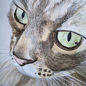 Mi gato. Traditional illustration project by Inma - 01.30.2021