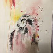 My project in Artistic Watercolor Techniques for Illustrating Birds course. Projekt z dziedziny Malowanie akwarelą użytkownika tantpita - 29.01.2021