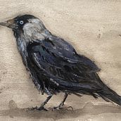 My project in Artistic Watercolor Techniques for Illustrating Birds course. Pintura em aquarela projeto de hannahelena - 29.01.2021