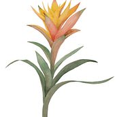 Meu projeto do curso: Aquarela botânica: ilustre a anatomia das flores. Botanical Illustration project by Sara Maria - 01.29.2021