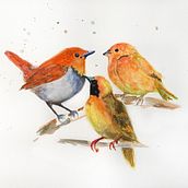 My project in Artistic Watercolor Techniques for Illustrating Birds course. Watercolor Painting project by Cassandra Knight - 01.30.2021