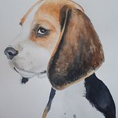 My project in Experimental Watercolor Techniques for Beginners course. Watercolor Painting project by Anouk Jacobs - 01.30.2021