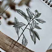 My project in Blackwork Tattoo Design course. Artistic Drawing, Botanical Illustration, Creativit, Ink Illustration, Naturalistic Illustration, Pencil Drawing, Portfolio Development, Sketchbook, Sketching, and Tattoo Design project by Anette Krištofová - 01.29.2021