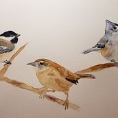 Bird composition 1. Watercolor Painting project by Keri Panatier - 01.31.2021