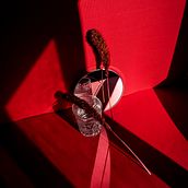 RED -  Proyecto personal. Fine Arts, Art Direction, Design, Photograph, Fashion Photograph, and Product Photograph project by Valentina Betancor - 02.01.2021