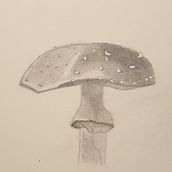Mushroom. Pencil Drawing project by evro - 02.01.2021