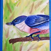Blue Bird. Un proyecto de Pintura a la acuarela de Melanie Teegarden - 01.02.2021