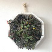 Mi Proyecto del curso: Diseño y creación de composiciones botánicas. Decoration project by Monica Barbosa - 02.01.2021