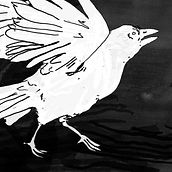 Crow's Fall. Un projet de Illustration traditionnelle de Roisin - 02.02.2021