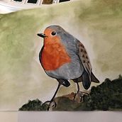 Robin. Een project van  Tekening, Traditionele illustratie y Aquarelschilderen van Sara Ferro - 31.07.2019