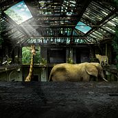 Jungle. Traditional illustration project by Pedro Cruz - 02.02.2021