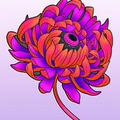 Eye see what you did there - Chrysthanemum. Un proyecto de Diseño digital e Ilustración vectorial de grumbledore - 02.02.2021