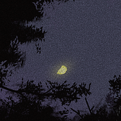 Meu projeto do curso: Pincéis e pixels: introdução à pintura digital no Photoshop. Un proyecto de Ilustración tradicional, Ilustración digital, Dibujo digital y Pintura digital de Odonias Design & Ilustração - 30.06.2021