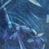 Winter sun cyanotype. Creativit project by Terezka Kálalová - 02.03.2021