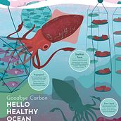 Sustainable Ocean Practices - Posters 1&2/3. Een project van Digitale illustratie e Informatieontwerp van Samantha Dixon - 01.04.2018