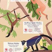 Primates in Peril - Poster. Een project van Digitale illustratie, Traditionele illustratie e Informatieontwerp van Samantha Dixon - 01.04.2018