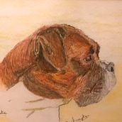 Bronte the Boxer. Watercolor Painting project by John Knapton - 02.09.2021