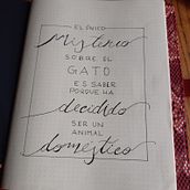 Pasión por los felinos... . % Patricia Porciuncula tarafından hazırlanan Çizim projesi - 02.03.2021