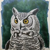 Horned Owl. Artistic Drawing project by Jen S - 01.30.2021