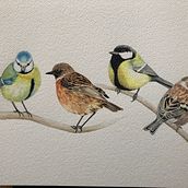 My project in Artistic Watercolor Techniques for Illustrating Birds course. Watercolor Painting project by AlexaB - 04.12.2021
