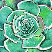 Secuencia Echeveria imbricata 🍀  . Un proyecto de Cómic, Ilustración tradicional e Ilustración botánica de Catalina Obregón - 12.01.2021
