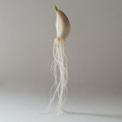 Cosas bonitas y sencillas. Un progetto di Belle arti, Arte concettuale, Creatività, Direzione artistica, Fotografia artistica, Fotografia digitale, Fotografia gastronomica, Fotografia pubblicitaria e Ritocco fotografico di Marta O Nilsson - 05.02.2021