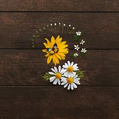 Regalo de primavera.. Een project van  Ontwerp van Jehmina Bailon - 05.02.2021