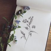 Forget Me Not . % amy___victoria tarafından hazırlanan 3D, Geleneksel illüstras, on, Ve Fotoğrafçılık projesi - 04.23.2020