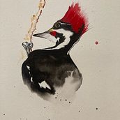 Pileated Woodpecker Ein Projekt aus dem Bereich Aquarellmalerei von madarahudson - 05.02.2021