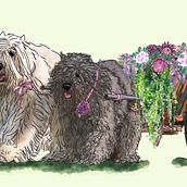 AKC Breeds . Un progetto di Illustrazione digitale di Jessica Anlauf - 06.02.2021