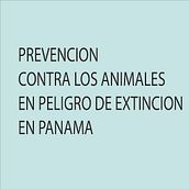 Mi Proyecto del curso: Carteles sobre animales panameños en peligro de exinticiòn. Design gráfico projeto de Arturo Castroverde - 06.02.2021