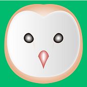 owl head. Un proyecto de Diseño de personajes de Martín Hustaix - 06.02.2021