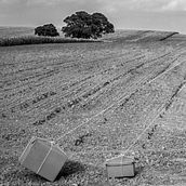 "Non omnis moriar" . Photograph project by Adolfo de los santos - 02.11.2021