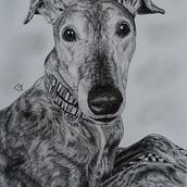 Bubba. Drawing, and Portrait Drawing project by Toby Mandelman - 02.06.2021