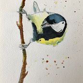 My project in Artistic Watercolor Techniques for Illustrating Birds course. Watercolor Painting project by Stéphane Stef - 02.07.2021