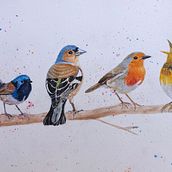 My project in Artistic Watercolor Techniques for Illustrating Birds course. Watercolor Painting project by Fiona - 02.09.2021