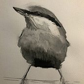 Nuthatch Watercolour. Watercolor Painting project by John Knapton - 02.09.2021